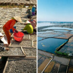 NEWS-Events-Fighting-discrimination-in-aquaculture