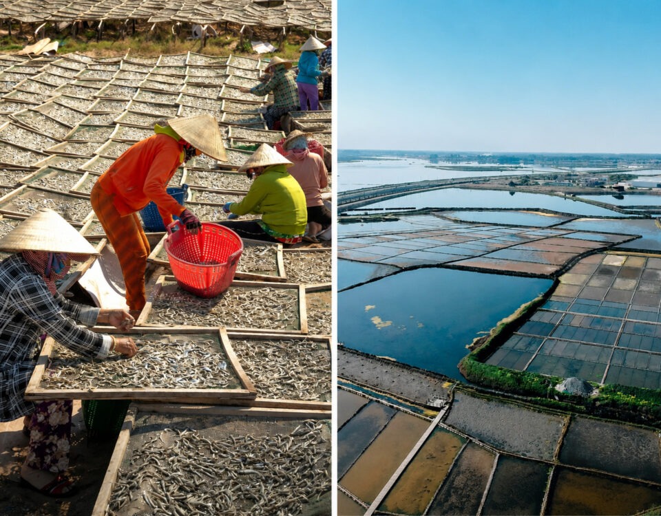 NEWS-Events-Fighting-discrimination-in-aquaculture